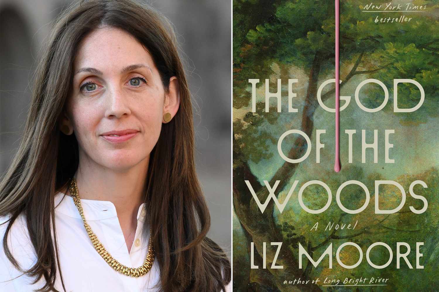 liz-moore-god-of-the-woods.jpg